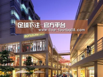 案例展示一(图1)